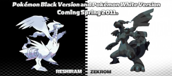 Reshiram and Zekrom Photo: Zekrom  Pokémon, Anime, Image de pokemon