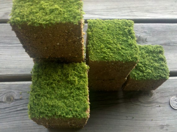 Real Life Minecraft Grass Blocks The Mary Sue