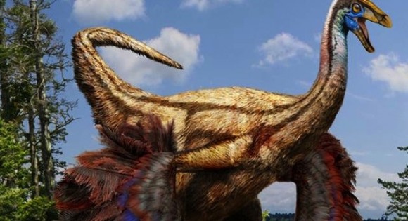 Dinosaurs Developed Feathers to Attract Mates, Not Fly | The Mary Sue