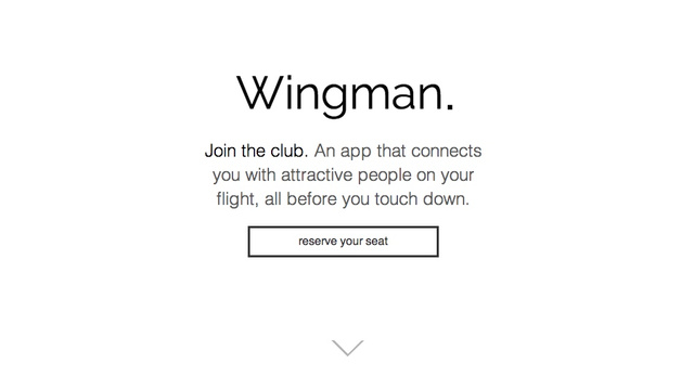 wingman3