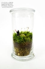 Pop Culture Terrariums | The Mary Sue