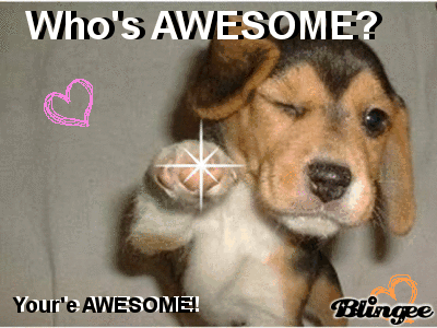 your awesome gif