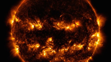 A picture of the sun