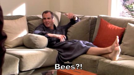 In a scene from Arrested Development, Gob relaxes on a couch and says 