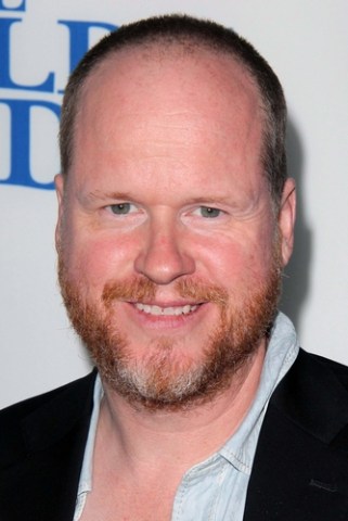 Joss Whedon Talks Avengers: Age of Ultron, New Projects | The Mary Sue