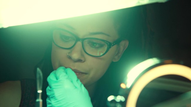 Cosima Niehaus