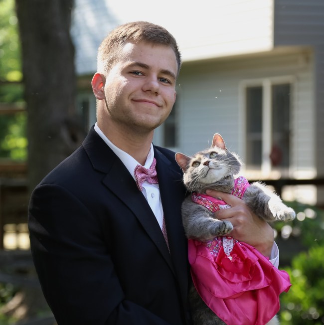 prom cat