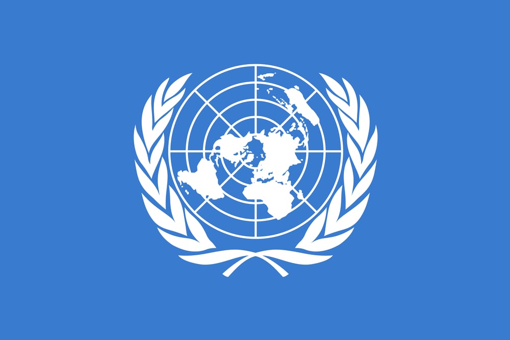 The united nations logo.