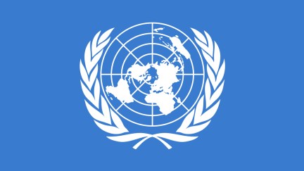 The united nations logo.