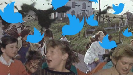 twitter and the birds