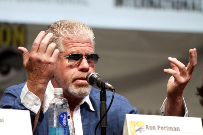 Ron_Perlman_(9363226251)