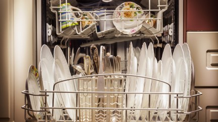 Shutterstock image of dirty dishes in a dishwasher, representing domestic labor