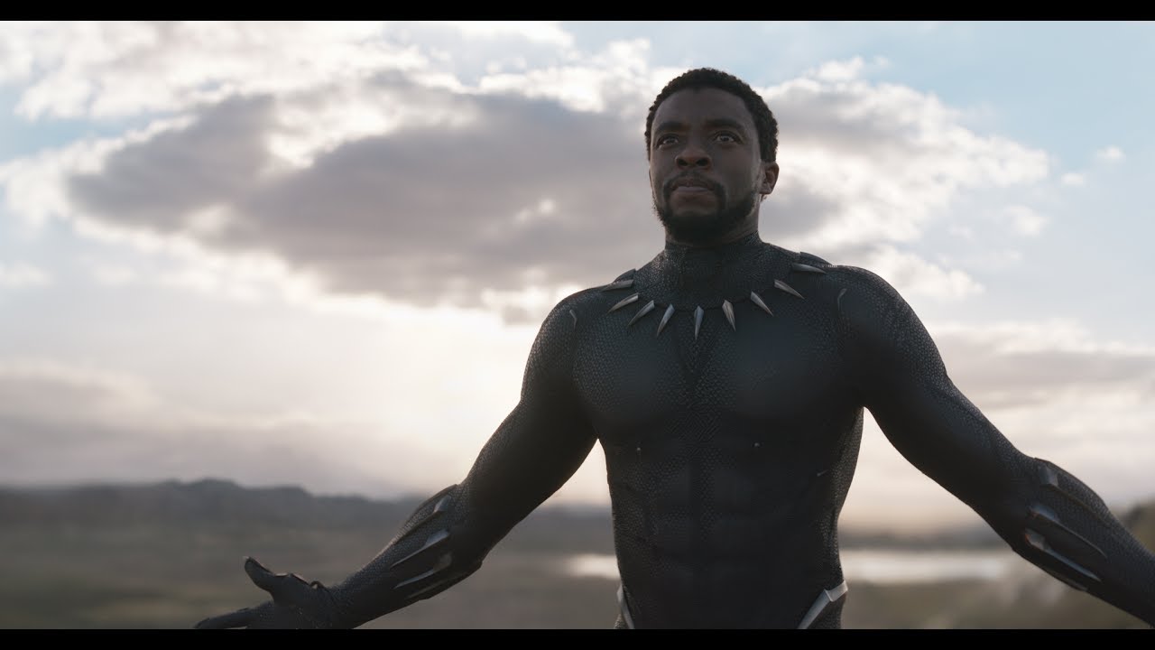 RESPECT BLACK PANTHER!!