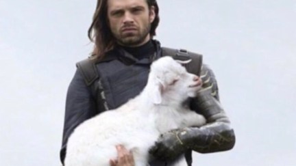 Bucky Barnes and goats