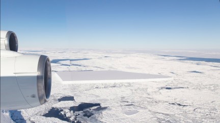 NASA rectangular iceberg