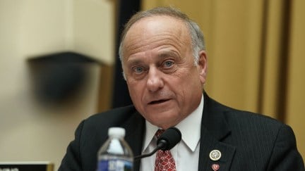 Steve King says things that are probably bigoted during a congressional hearing