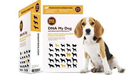 Dog DNA test kit.