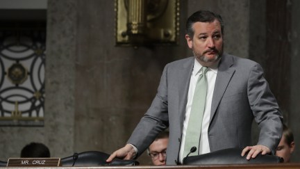 Ted Cruz stands all alone with his gross beard during a senate hearing.