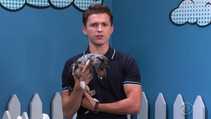 Tom Holland holding a puppy