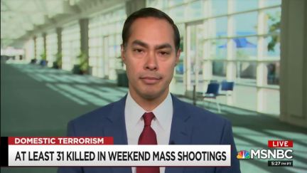 julian castro on msnbc.