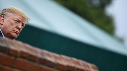 Donald Trump peers out from behind a brick wall.