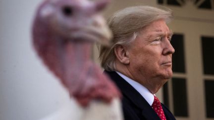 President Trump and Butter the turkey