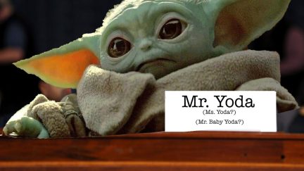 Baby Yoda on trial