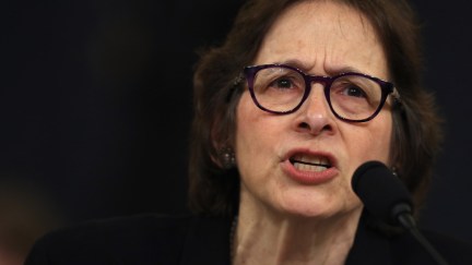 Constitutional scholar Pamela Karlan of Stanford University passionately testifies before the House Judiciary Committee