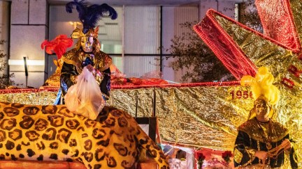 a nightame mardi gras parade in mobile