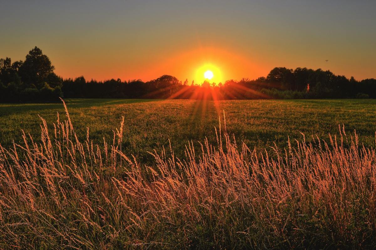 a sunset over a field