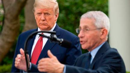 Donald Trump listens as Director of the National Institute of Allergy and Infectious Diseases Dr. Anthony Fauci speaks during a Coronavirus Task Force press briefing in the Rose Garden of the White House