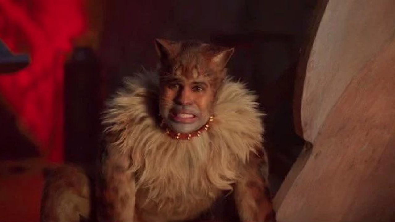 Jason Derulo Thought Cats Would Change the World The Mary Sue