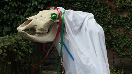 horse skull celebrates christmas