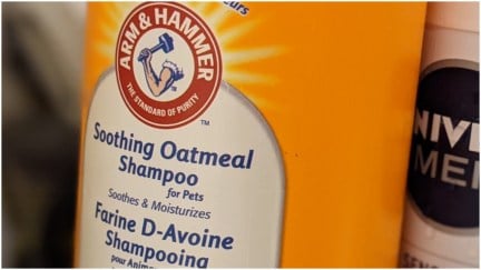 dog shampoo