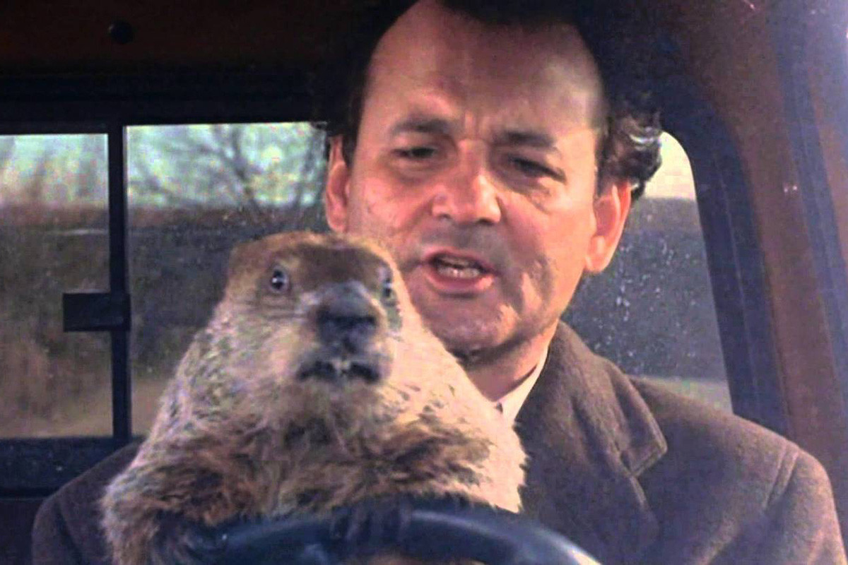 Bill Murray as Phil Conners