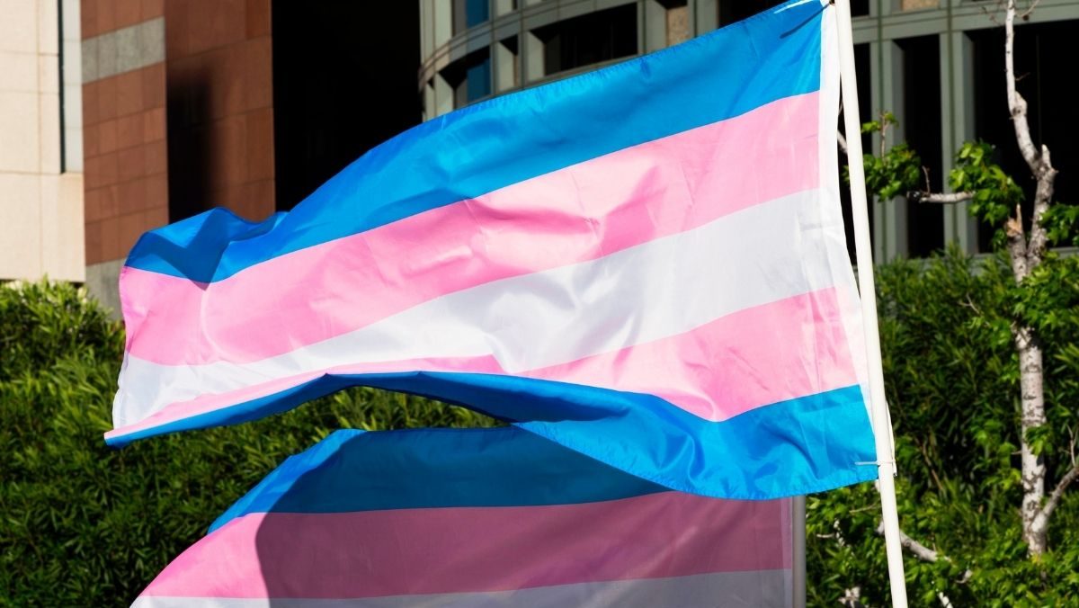 Transgender flags fluttering in the wind at International Transgender Day of Visibility.