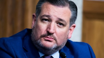 Ted Cruz looks confused while sitting in the Senate chamber