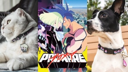 Pawsonify Promare line