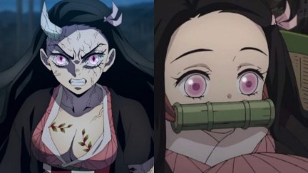 nezuko in her demon form vs her normal form