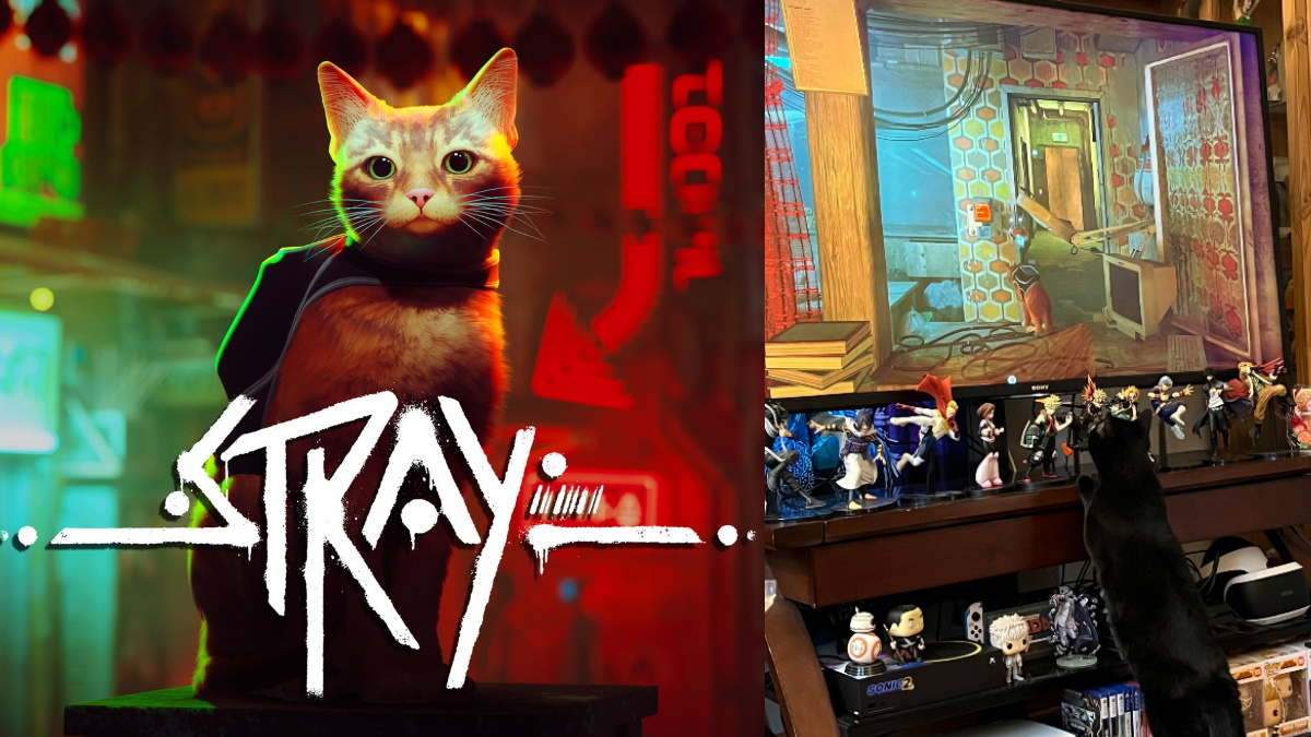 Does the cat die in 'Stray?' How the buzzy indie game speaks to a larger  trend