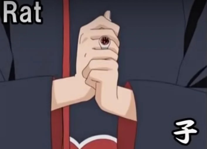 All Naruto Handsigns Explained | The Mary Sue