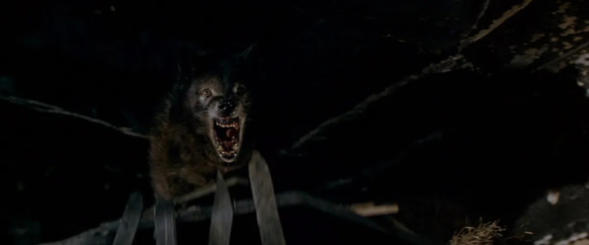 Best Werewolf Movies Ranked | The Mary Sue