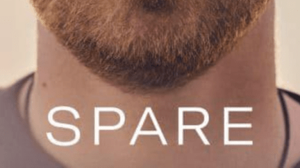 Prince Harry's chin with a close cropped ginger beard, his neck and then the word spare in white capitalised text