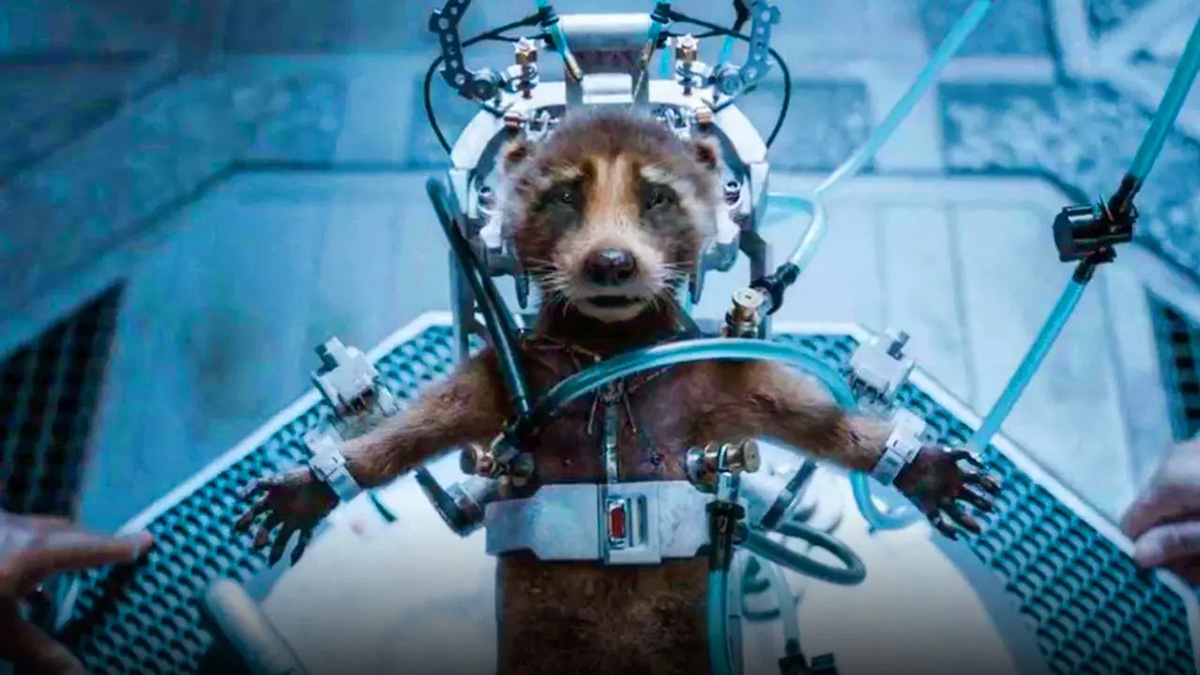 Here You Find Me Crying Over Baby Rocket Raccoon | The Mary Sue