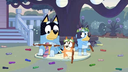 Bluey, Bingo, and Bandit play on a rug in 'Bluey'