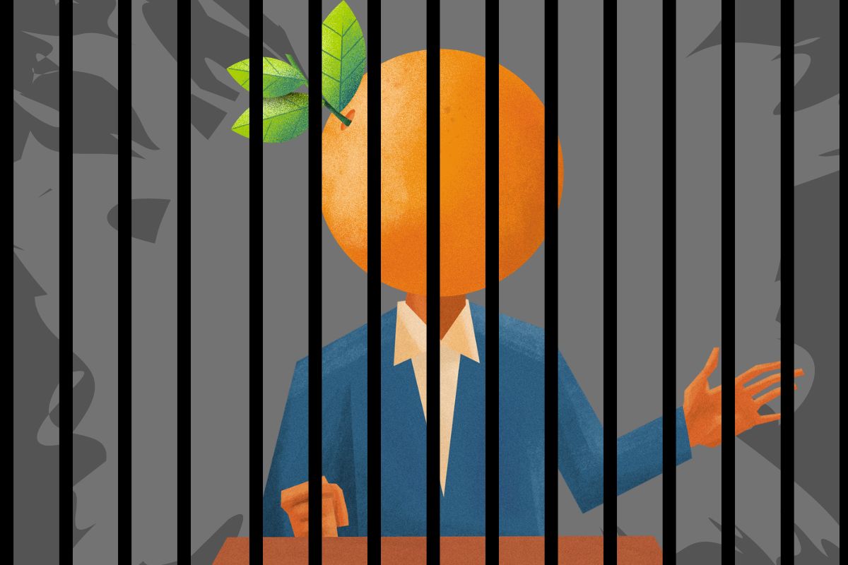 Orange man behind bars campaigning. 