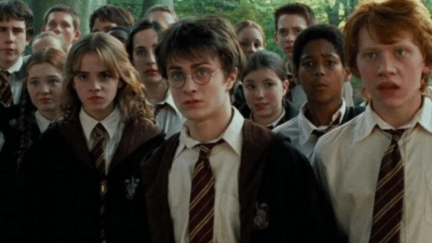 Harry, Ron, Hermione, and their classmates stand in a group