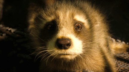 Baby Rocket in Guardians of the Galaxy Vol. 3