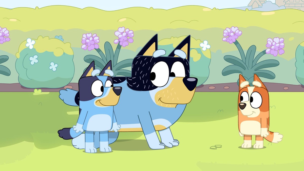 The Heeler family on Bluey.