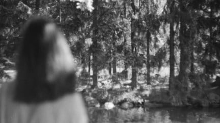 A black and white photo of the back of a woman's head, with a forest beyond her.